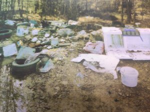 Zdjęcie przedstawiające śmieci, które ktoś wyrzucił w lesie. . Widać sprzęt AGD oraz sprzęt budowlany , gruzy, wiaderka po farbach.