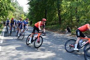 Pelton rowerzystów podczas przejazdu Tour de Pologne. W tle las.