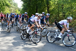 peleton rowerzystów wyścigu Tour de Pologne