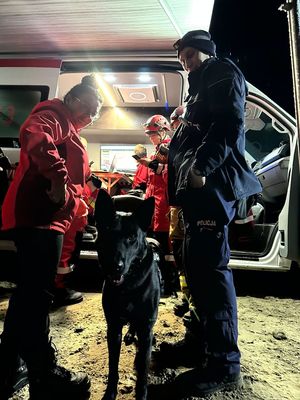 Akcja poszukiwawcza za zaginionym seniorem. Strażacy i policjant z psem