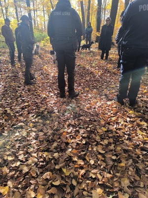 Funkcjonariusze podczas działań.