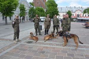 Umundurowani  żołnierze z psami służbowymi. W tle Rynek olkuski oraz zabudowania. Pogoda letnia. Słoneczne niebo.