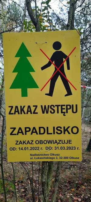 Na zdjęciu widać żółtą tablicę informującą o zakazie wstępu na teren leśny ze względu na powstałe zapadlisko